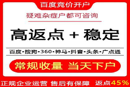 百度推广返点策略：案例解析与优化